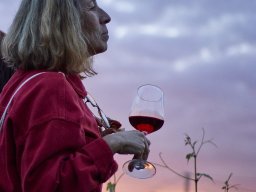 Festival Mar de Tethys 2026 - Bodega Vetas